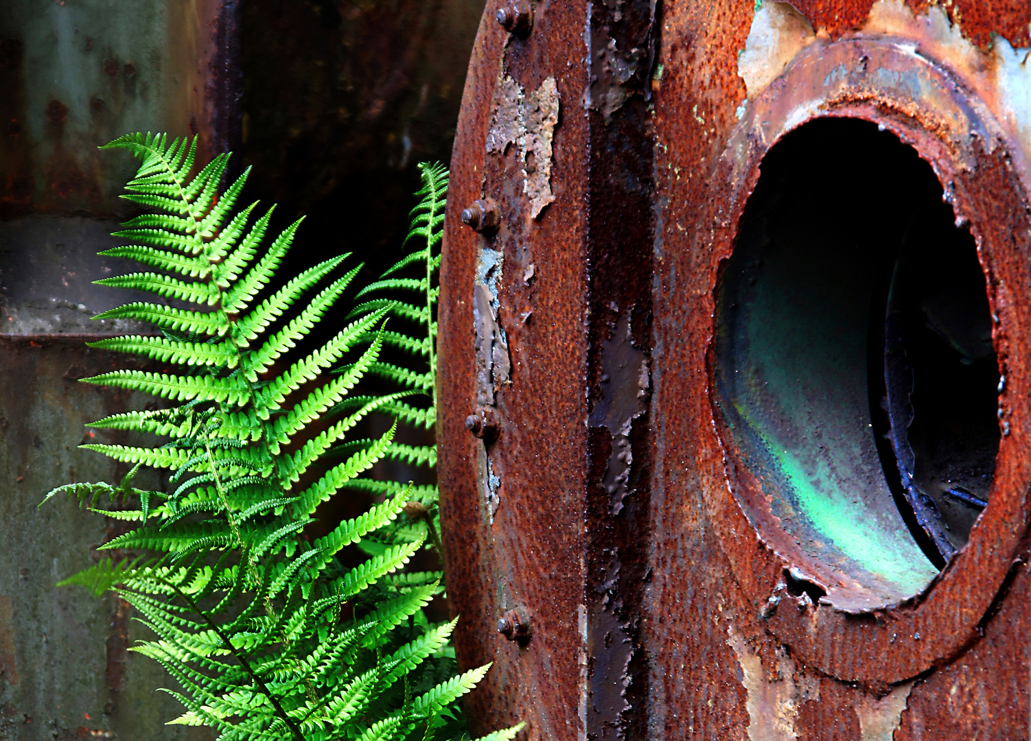 Im Landschaftspark Duisburg