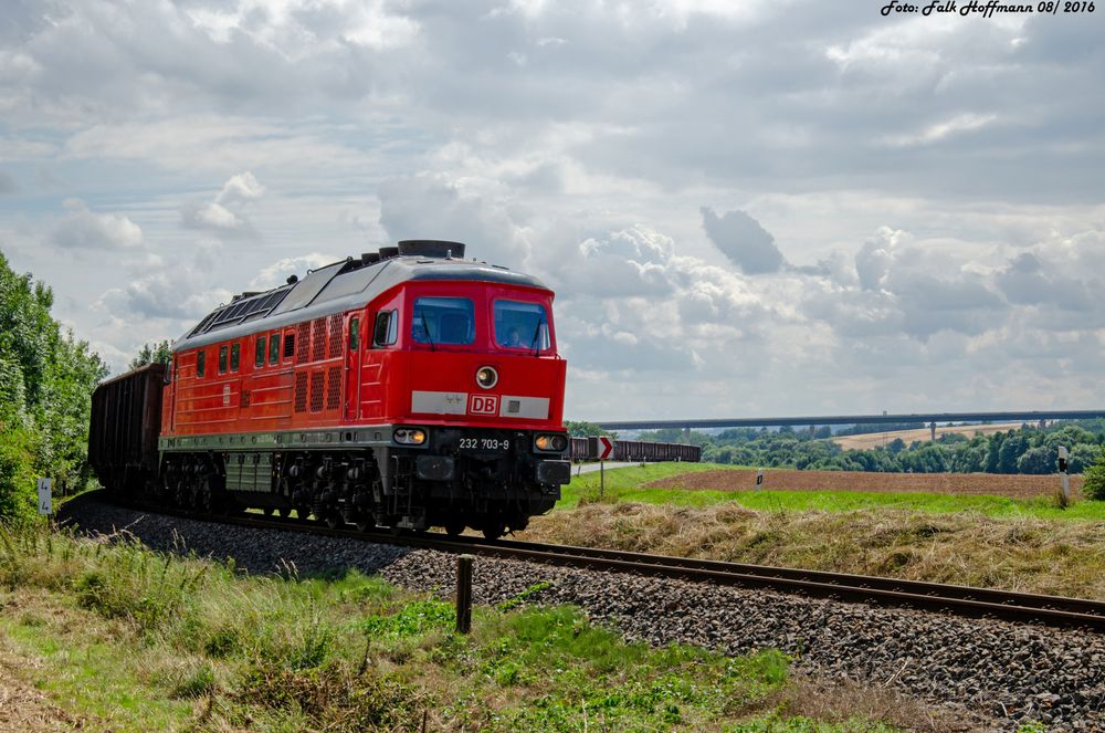 Im langen Bogen