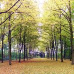 Im Lantz'schen Park Düsseldorf