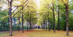 Im Lantz'schen Park Düsseldorf