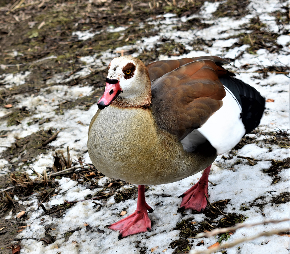 im Laufschritt an mir vorbei ...