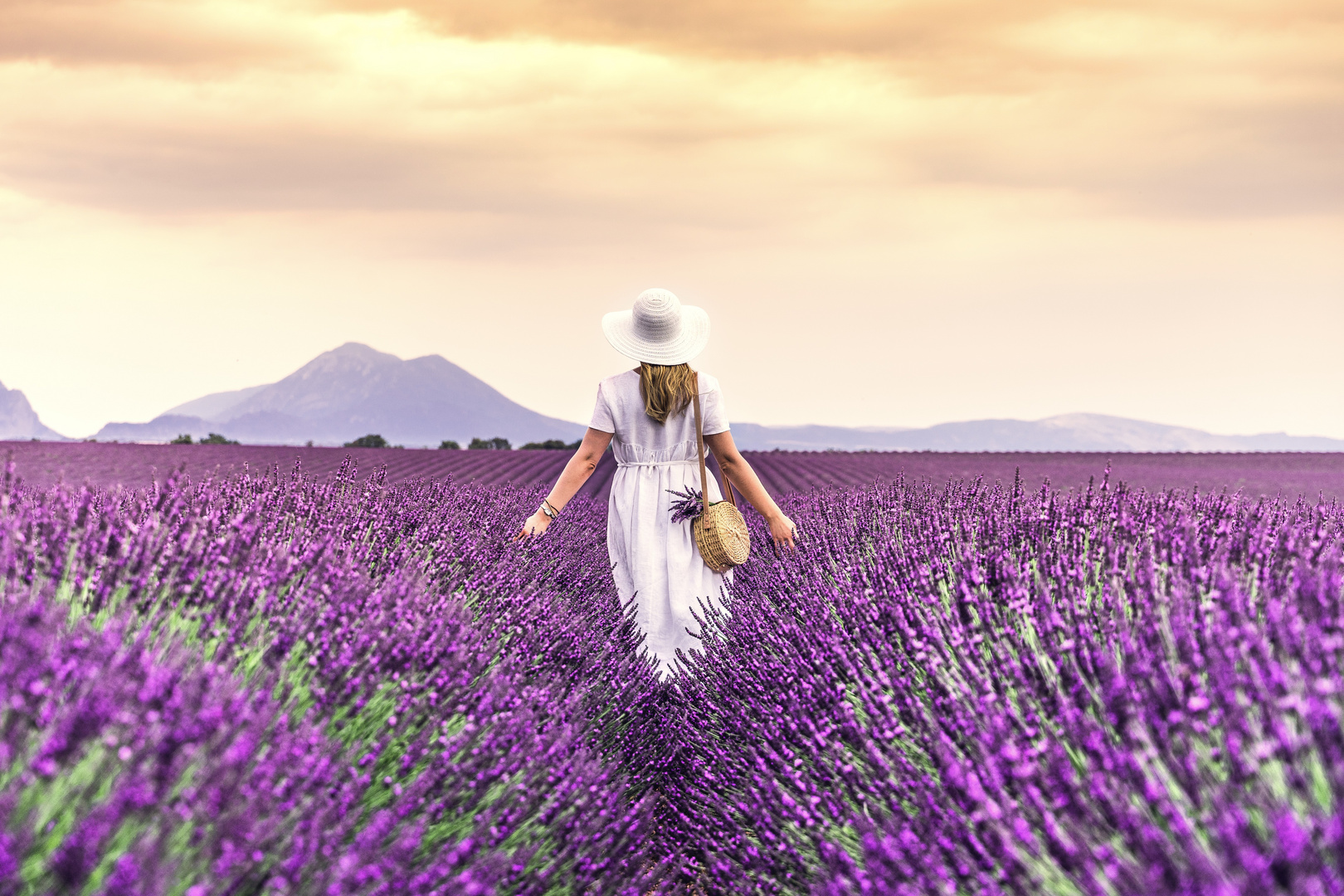 Im Lavendelfeld