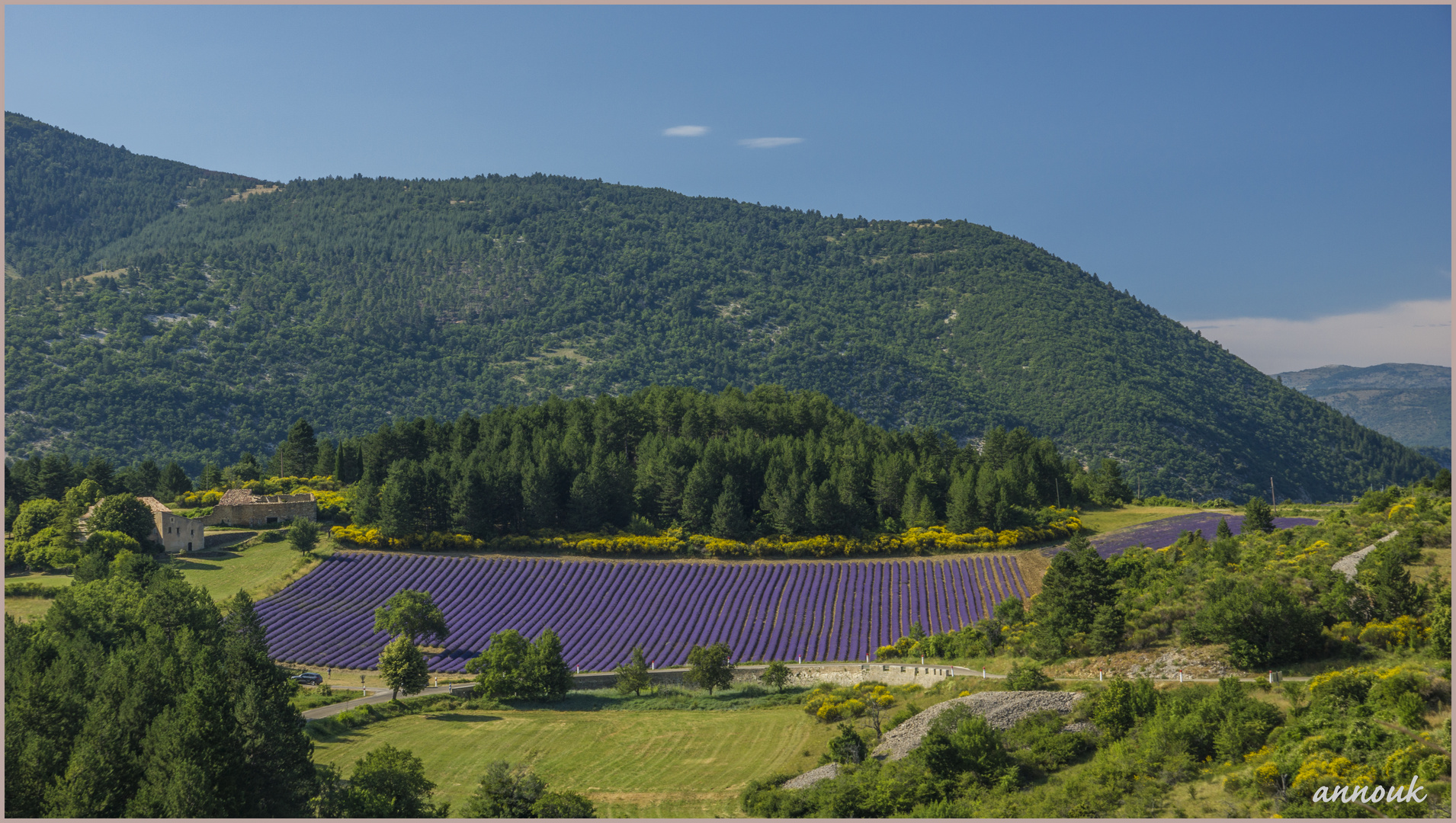 Im Lavendelland - Au pays de la lavande