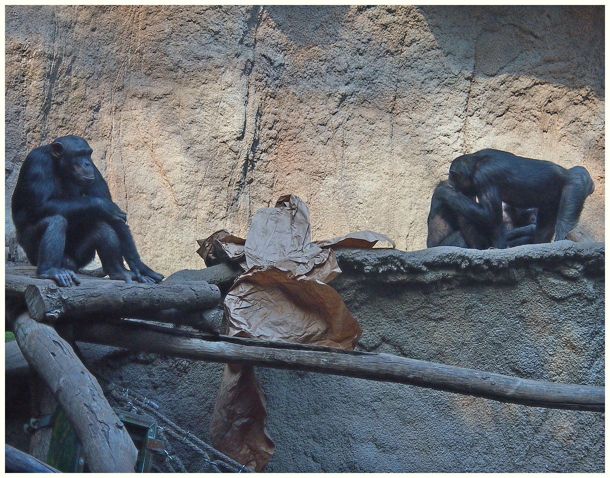 Im Leipziger Zoo