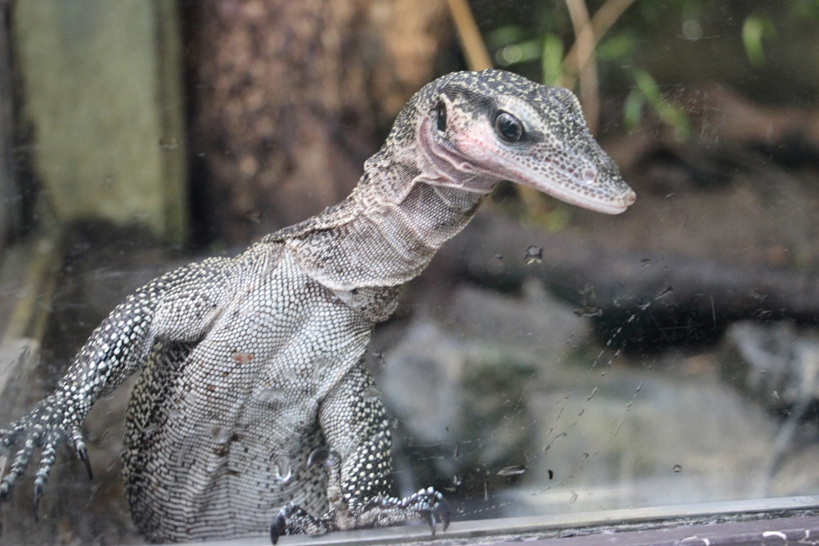 Im Leipziger Zoo 