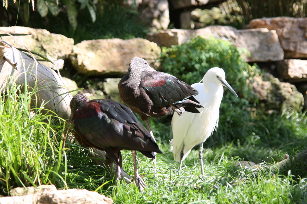 Im Leipziger Zoo 6