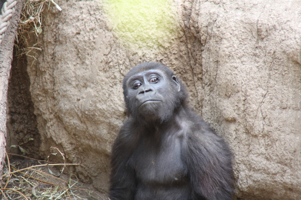 Im Leipziger Zoo