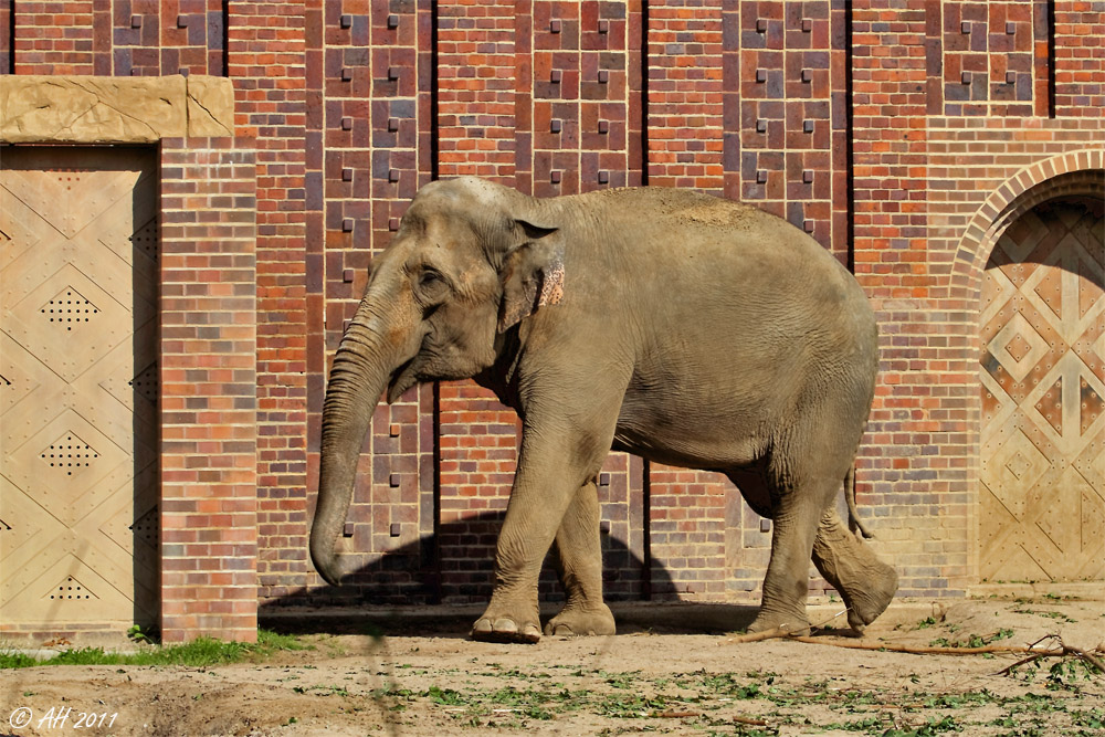 Im Leipziger Zoo