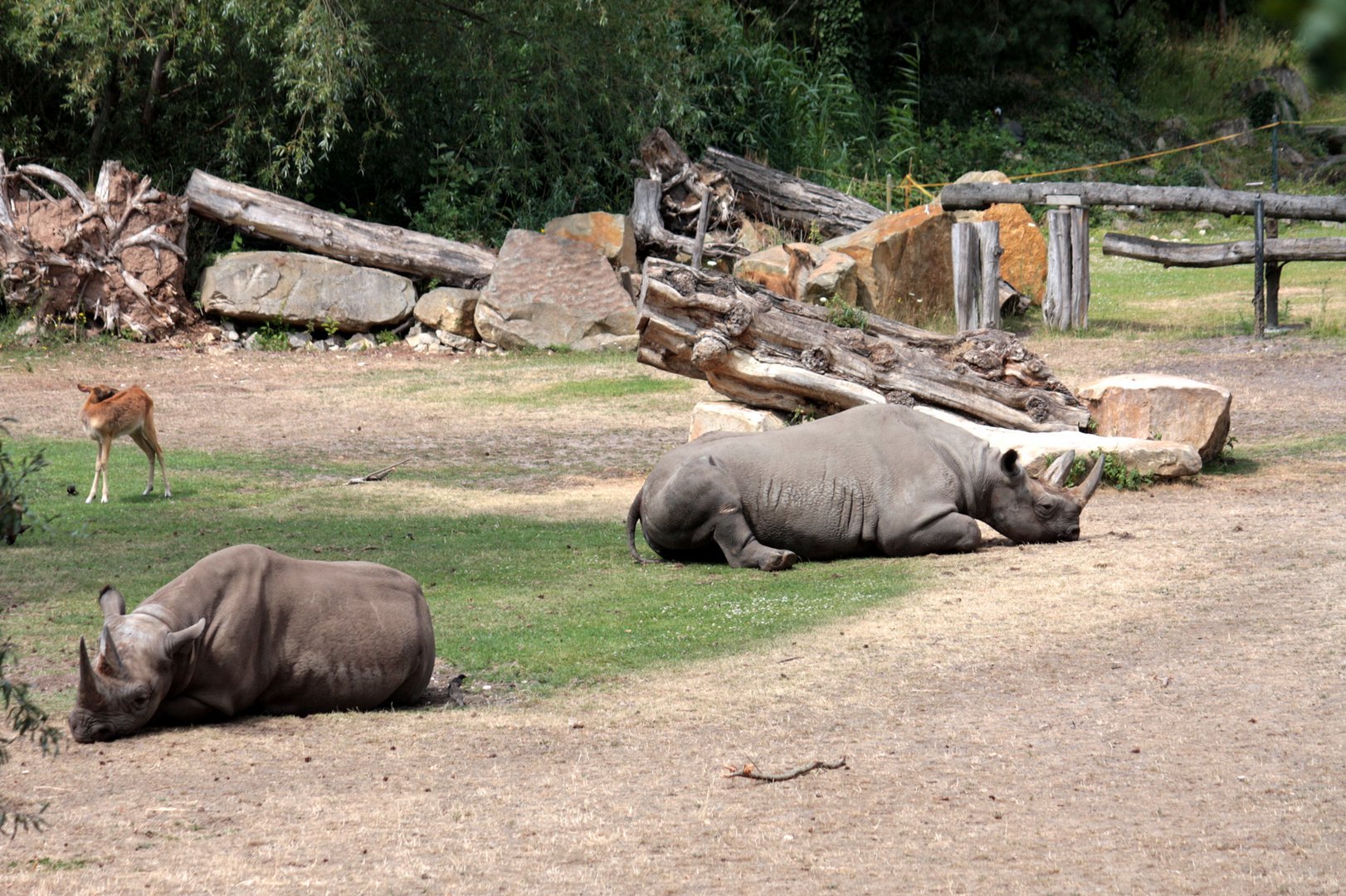 Im Leipziger Zoo