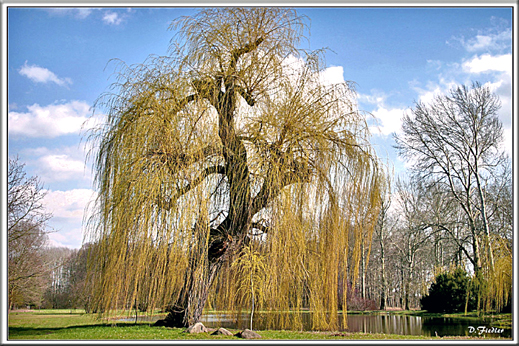 Im Lennepark Kunersdorf