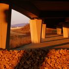 Im letzen Sonnenlicht unter der Brücke