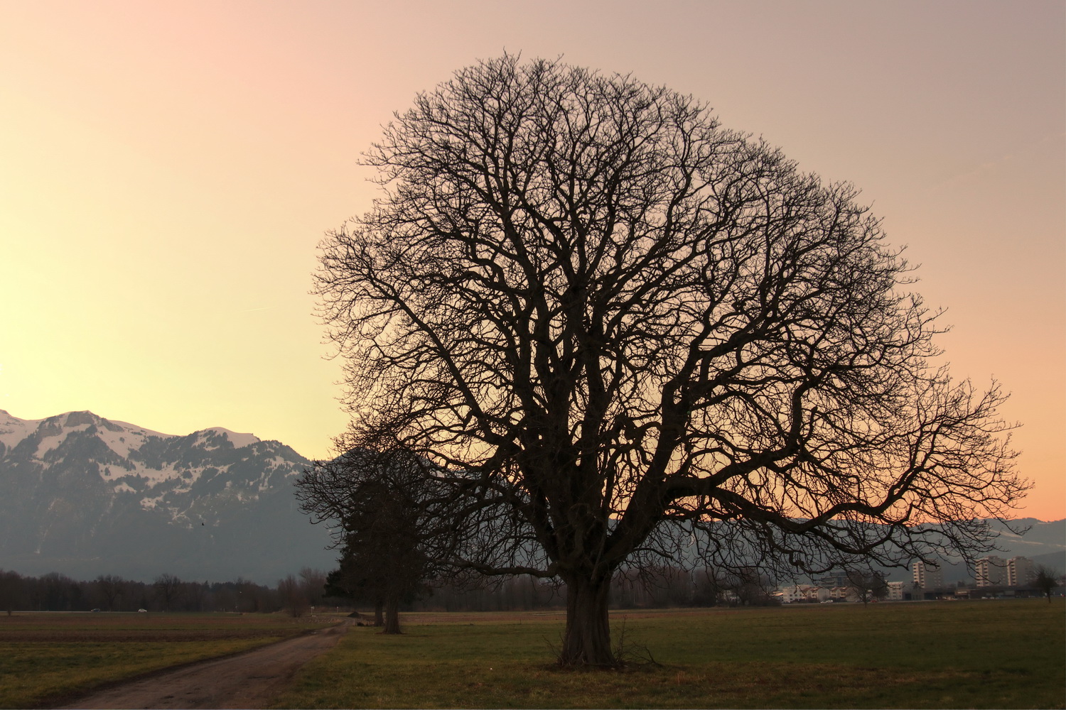 Im letzten Abendlicht