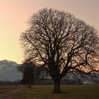 Im letzten Abendlicht