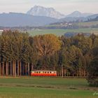 Im letzten Abendlicht