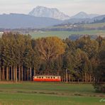 Im letzten Abendlicht