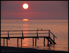 Im letzten Abendlicht