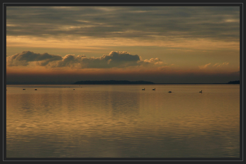 Im letzten Abendlicht