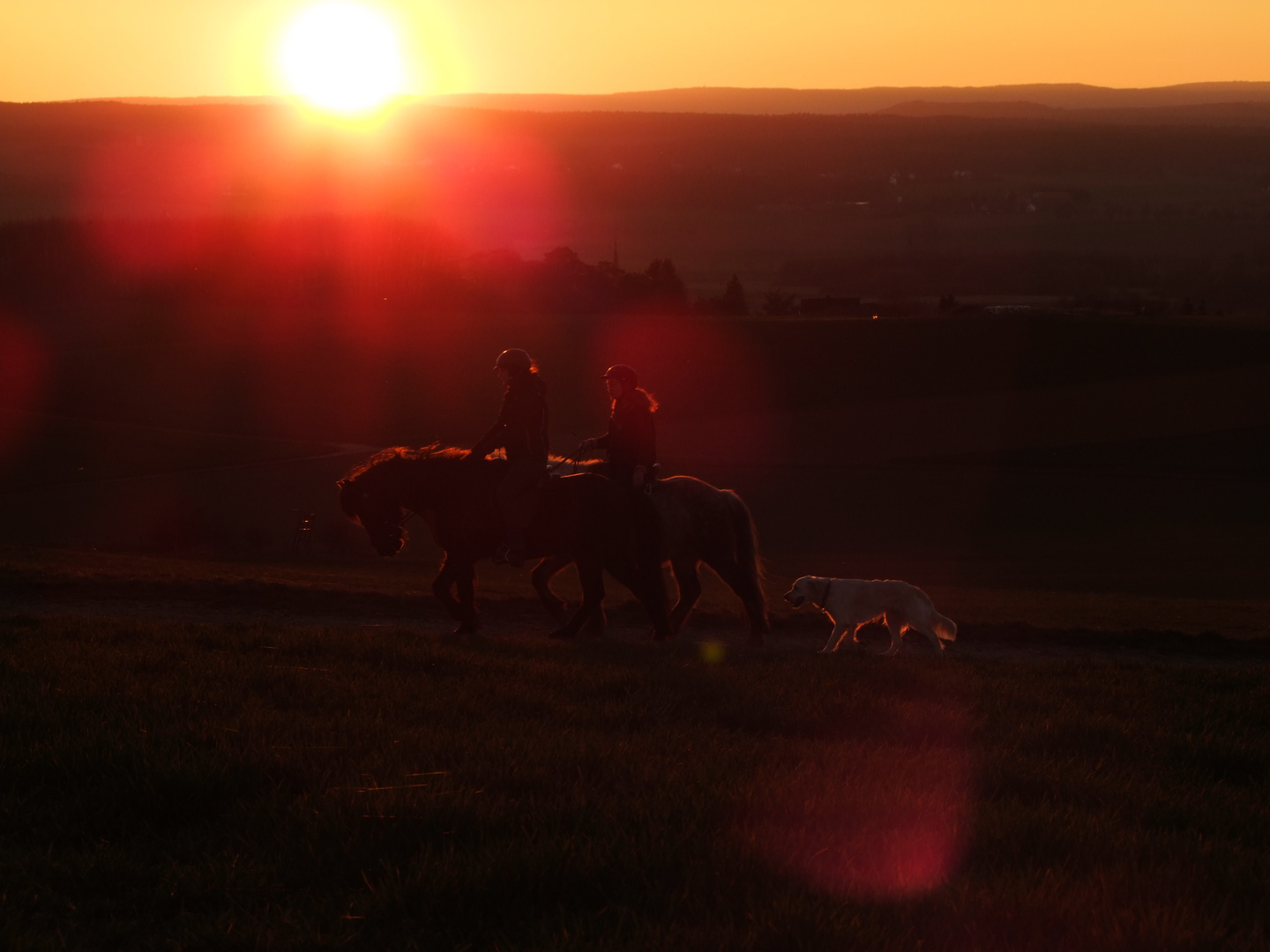 Im letzten Abendlicht