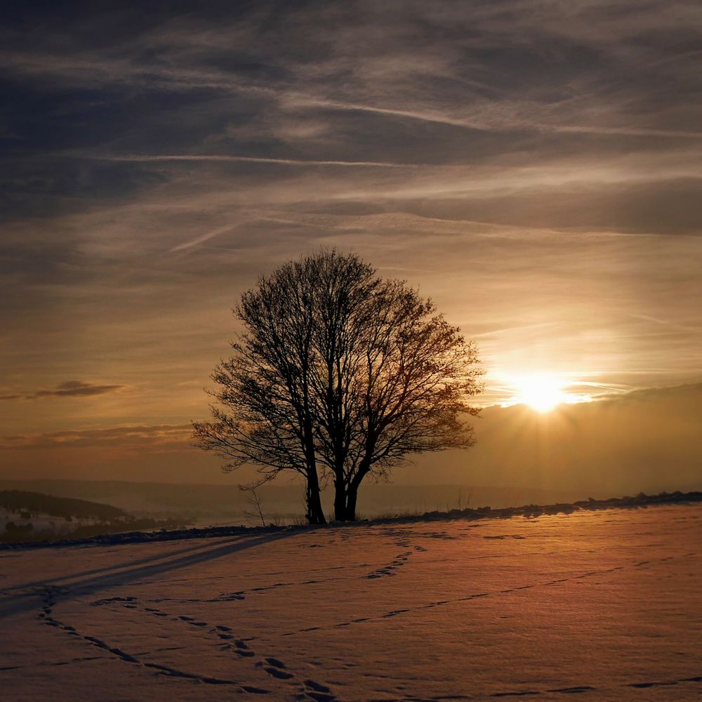 im letzten Abendlicht...