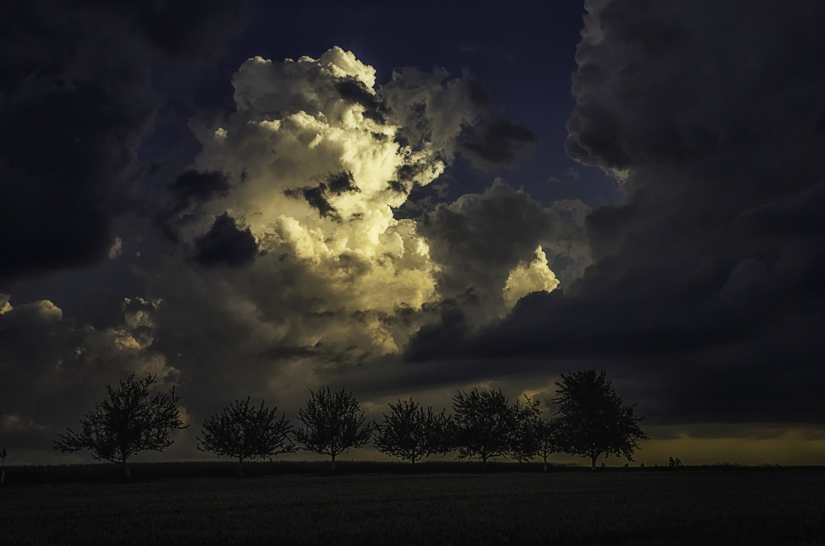 im letzten Abendlicht