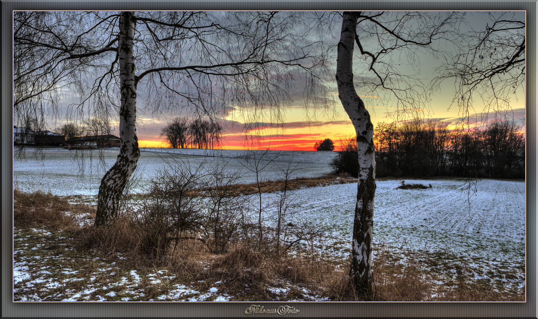 im letzten Abendlicht