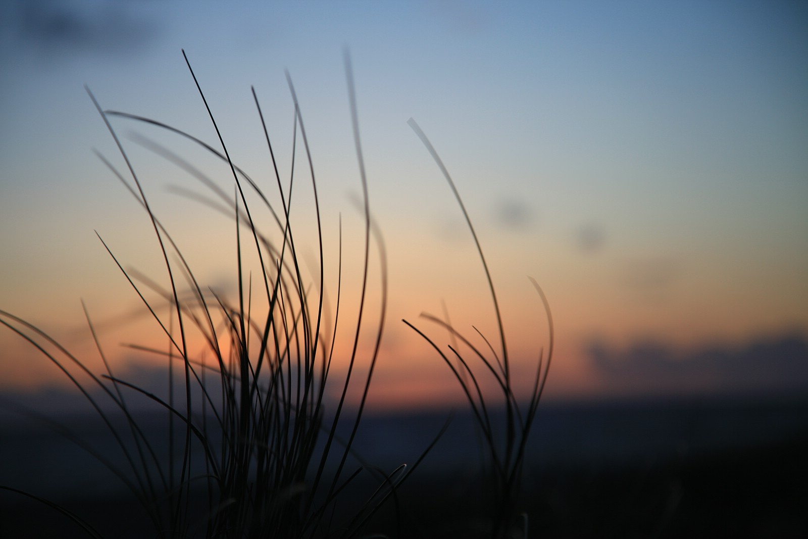 im letzten Abendlicht