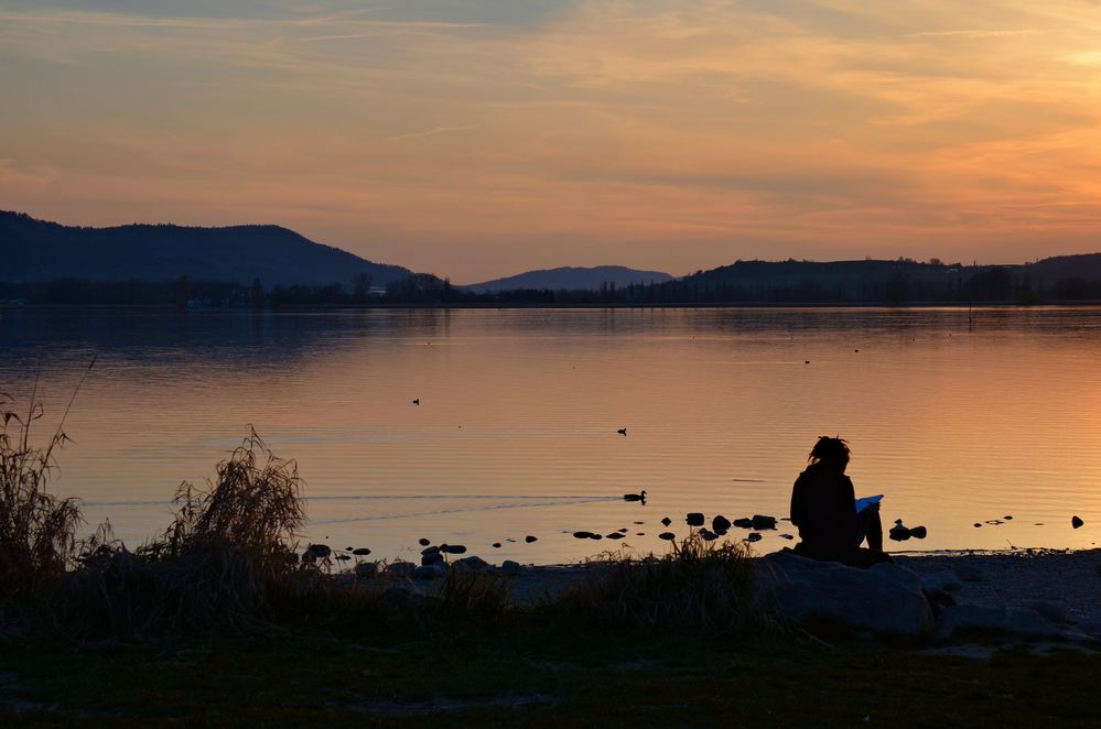 im letzten Abendlicht...