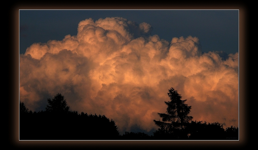 Im letzten Abendlicht