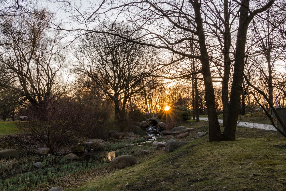 Im letzten Abendlicht