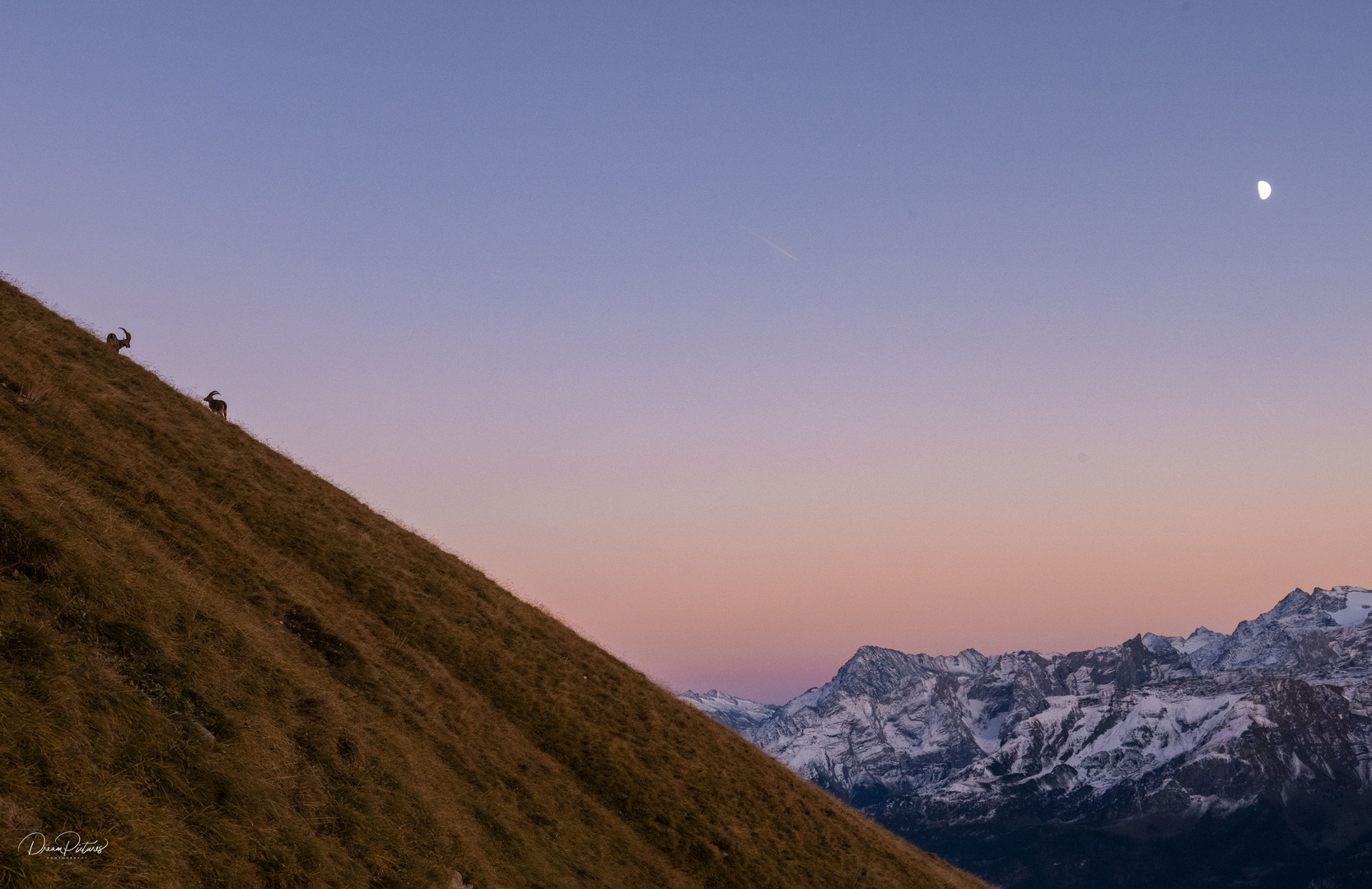 Im letzten Abendlicht