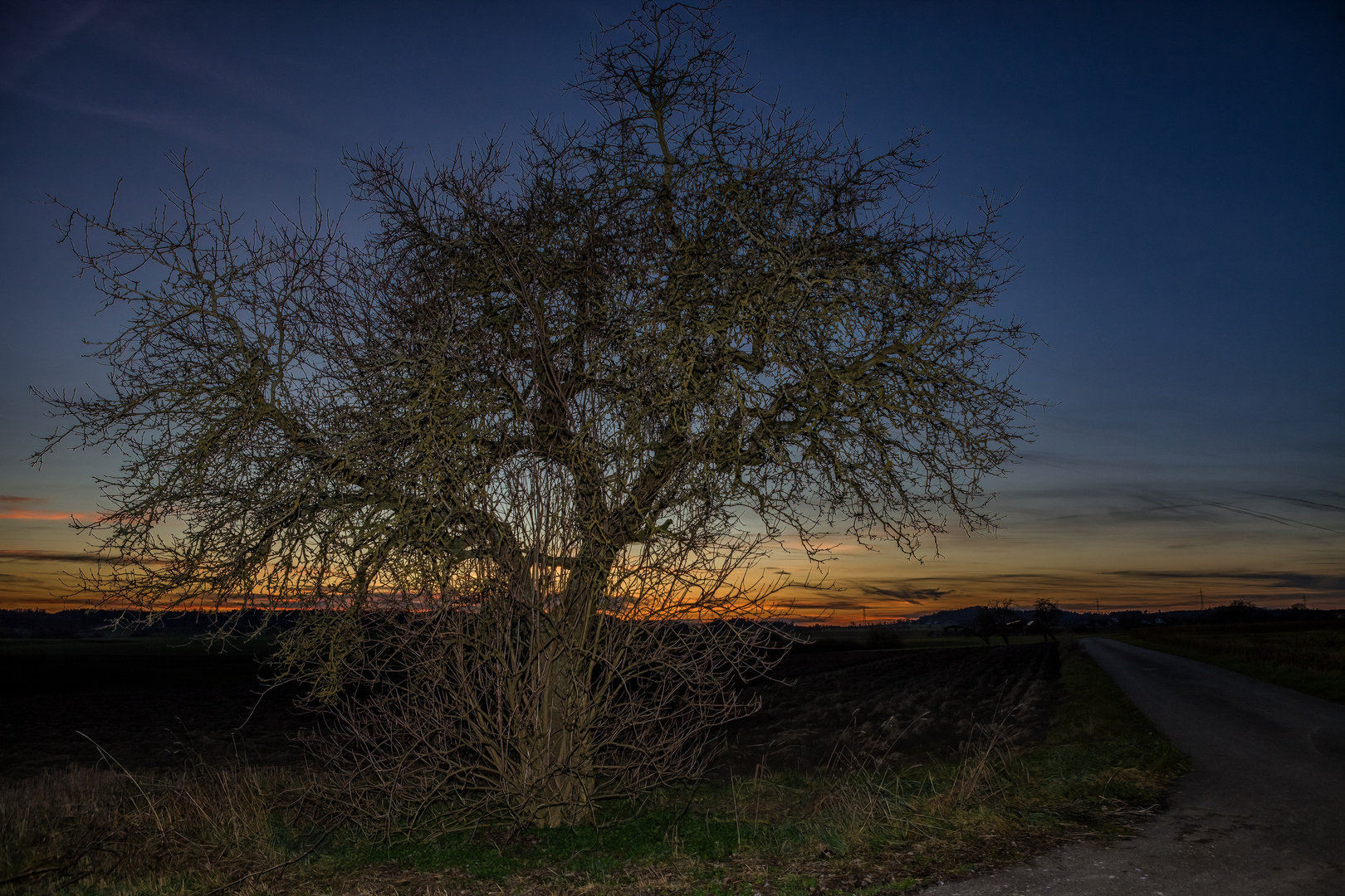 Im letzten Abendlicht