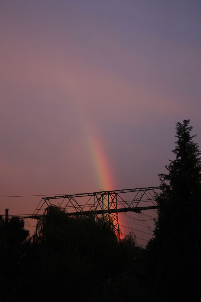 im letzten Abendlicht erwischt