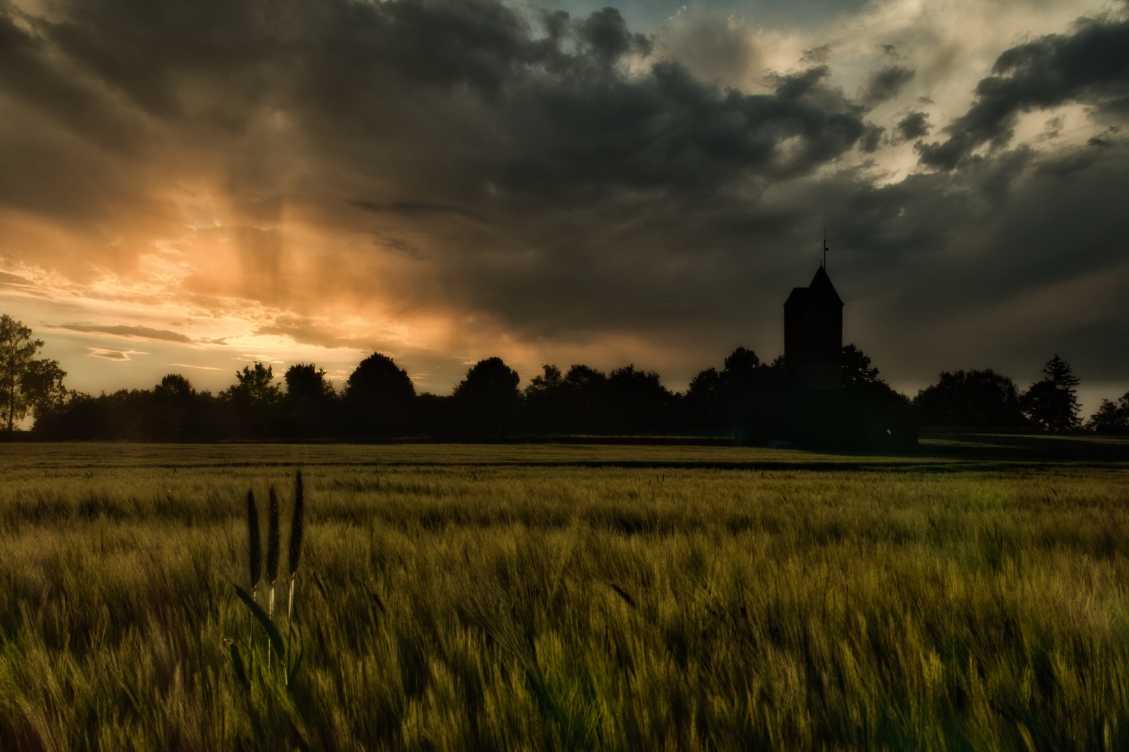 im letzten Abendlicht