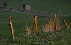 im letzten (Frühlings-) Licht