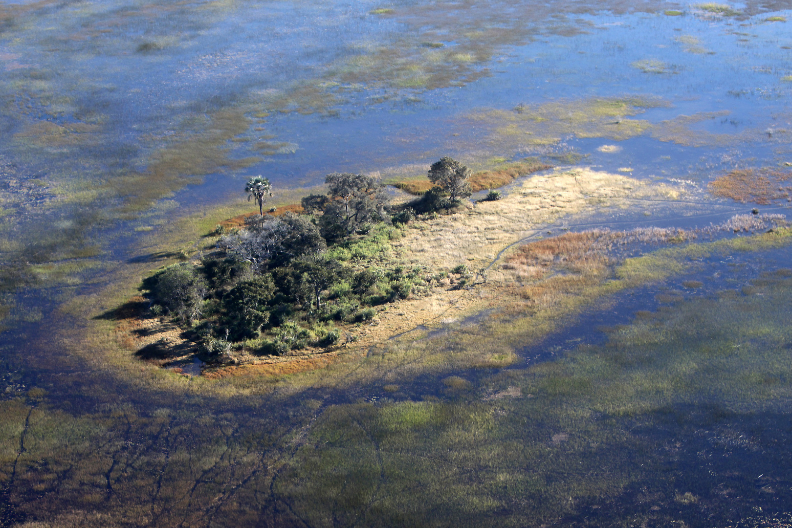 Im letzten Juli war viel Wasser im Delta.