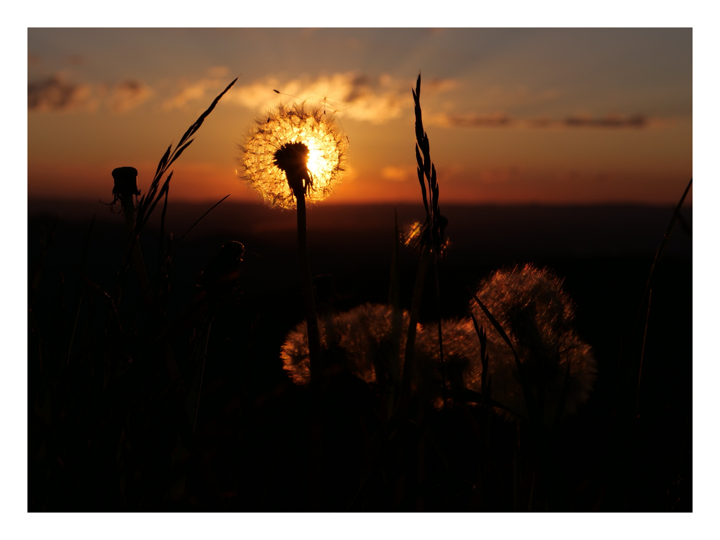 im letzten Licht