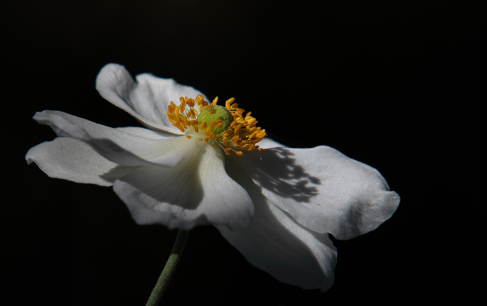 im letzten Licht