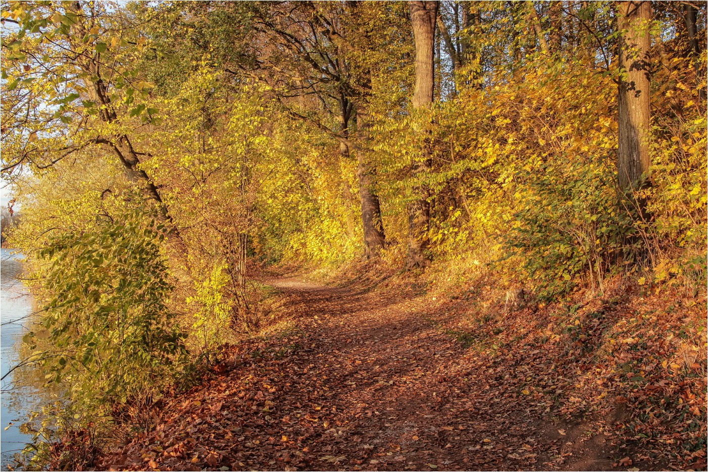 Im letzten Licht