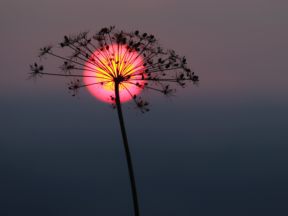 ...im letzten Licht!