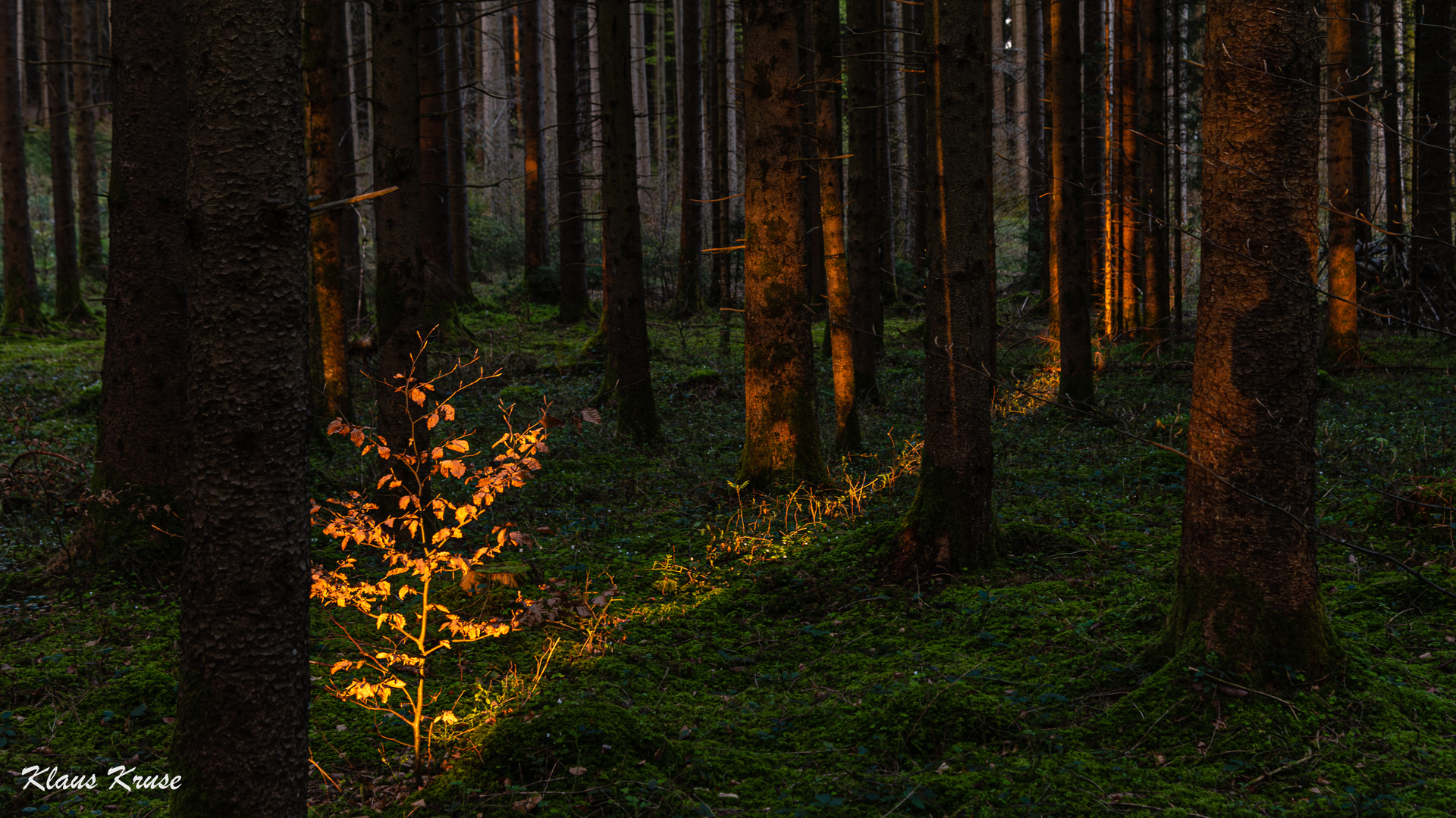 Im letzten Licht der Sonne