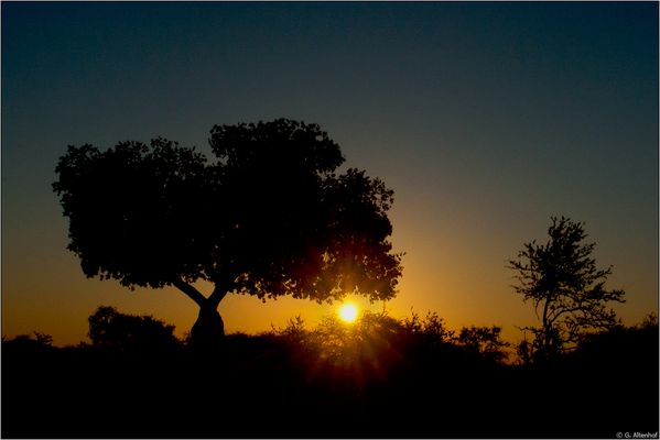 ...im letzten Licht des Tages