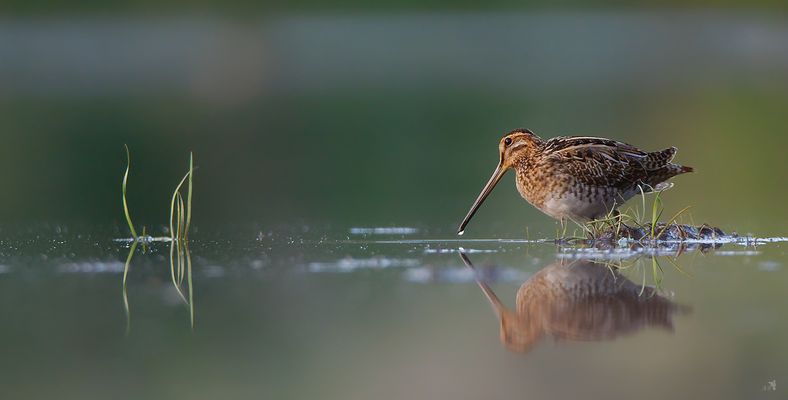 Im letzten LIcht des Tages...