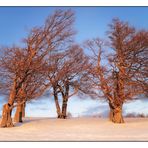 im letzten Licht des Tages - blue monday