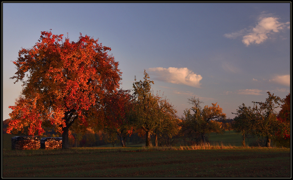 Im letzten Licht des Tages II