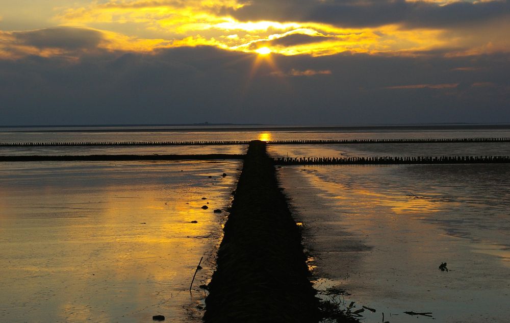 Im letzten Licht des Tages.........Buhne im Wattenmeer