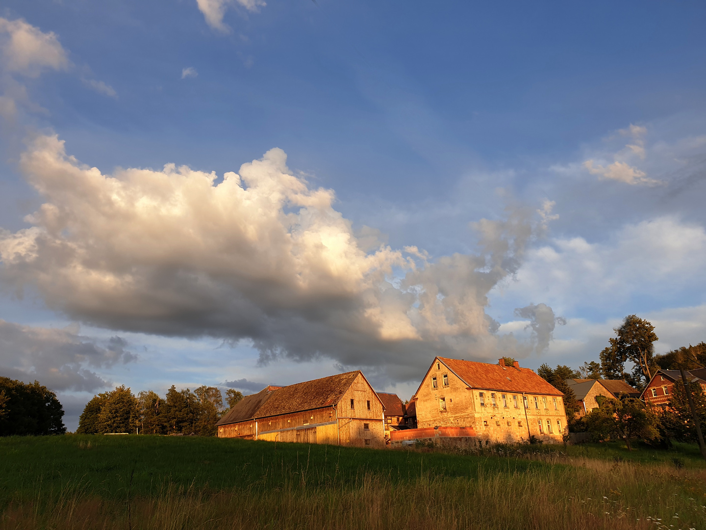 im letzten licht