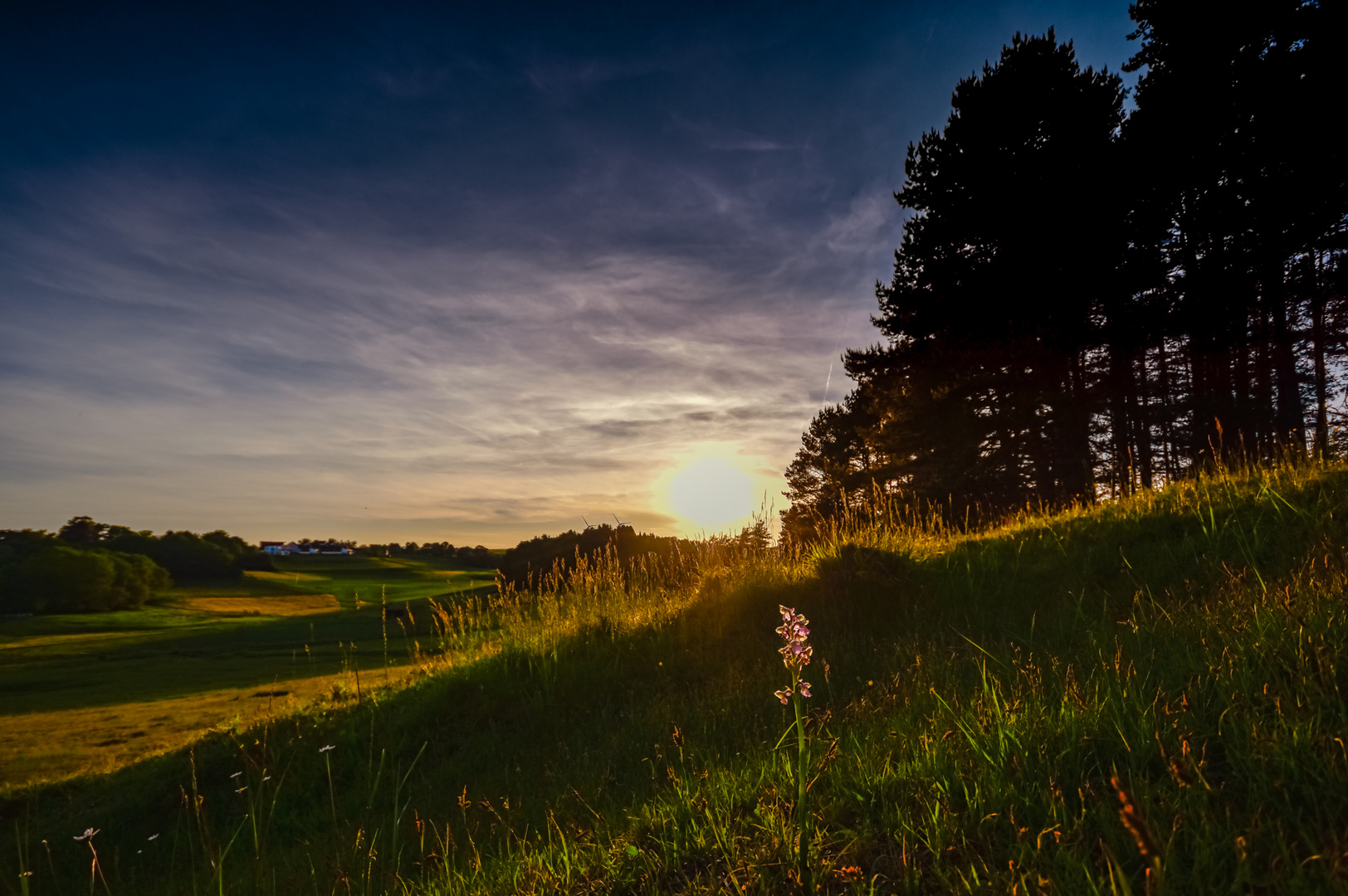 Im letzten Licht