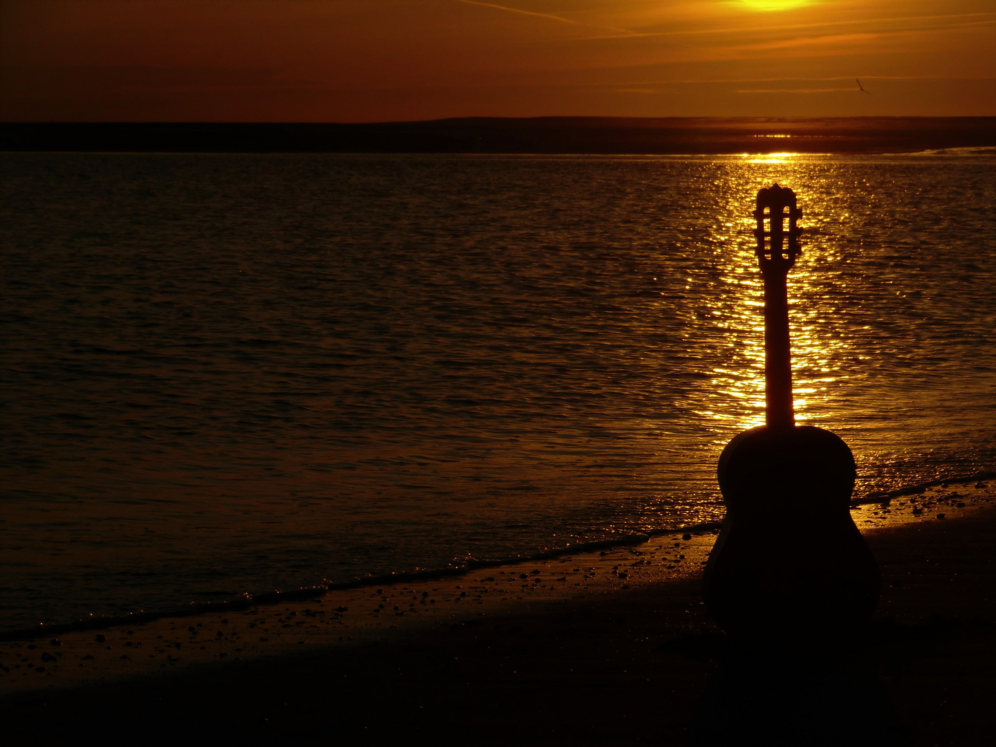 Im letzten Sonnenlicht