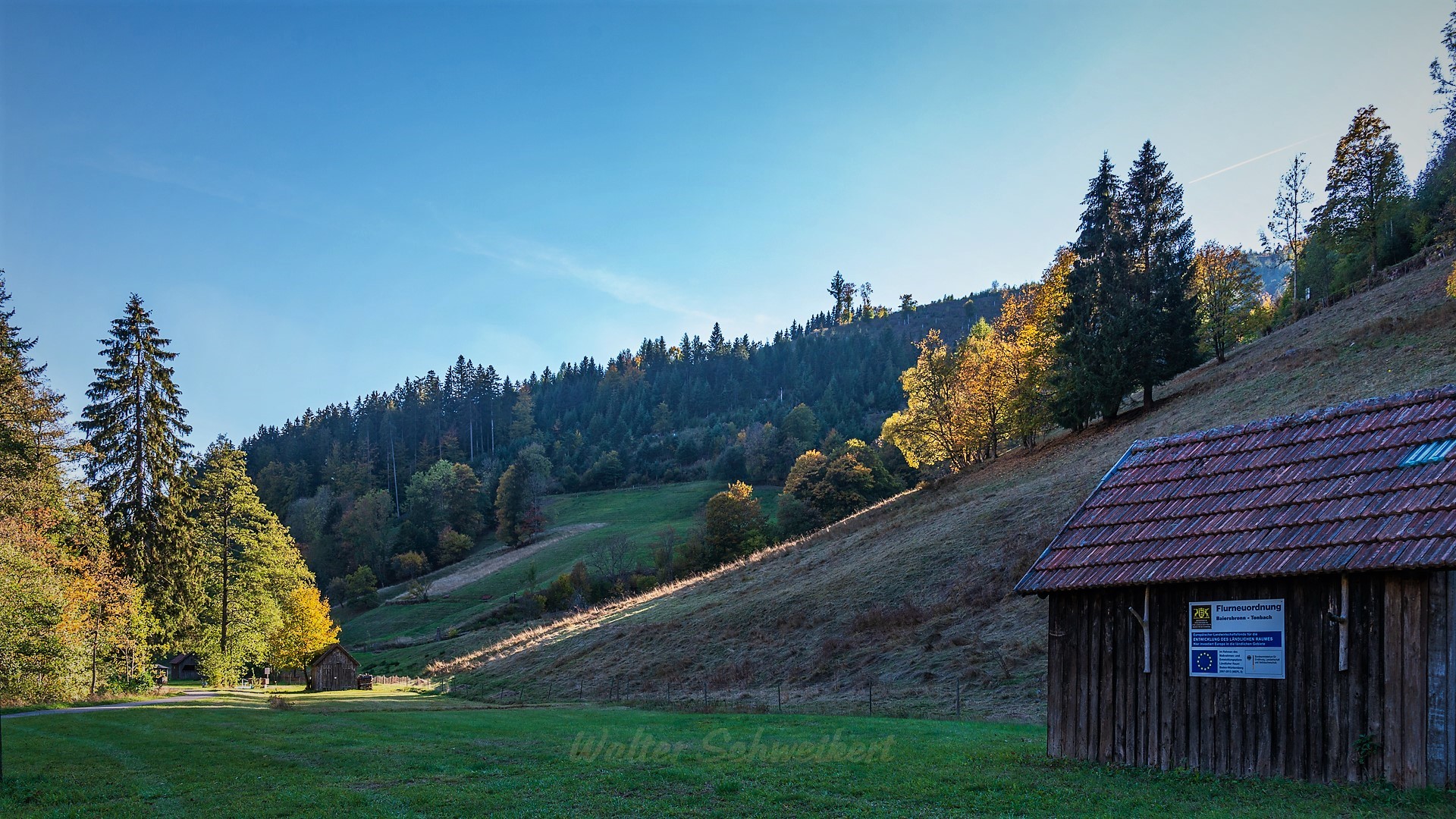 Im letzten Sonnenlicht