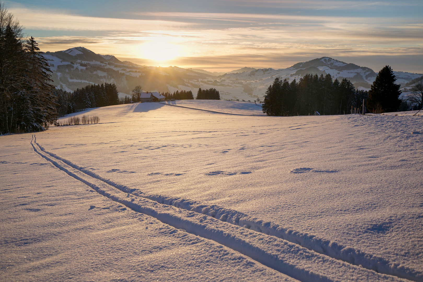 Im letzten Sonnenlicht